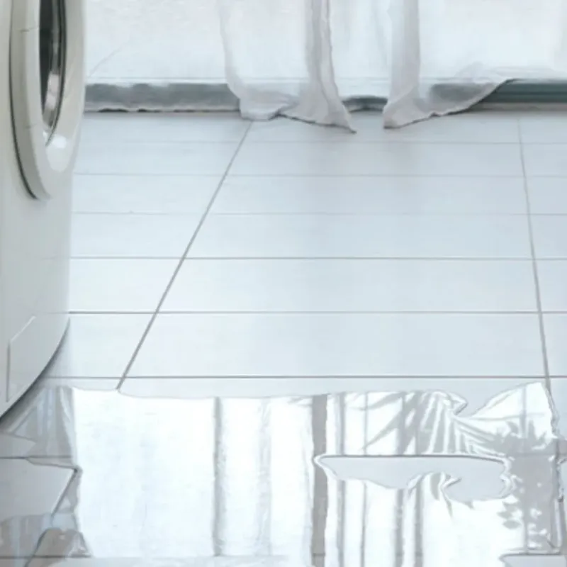 Appliance Leak Cleanup in Pahrump, NV